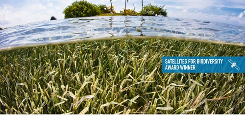 Seagrass Hero Banner