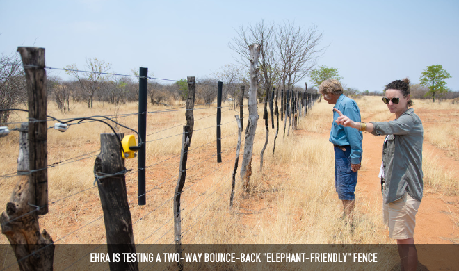 Elephant Fencing