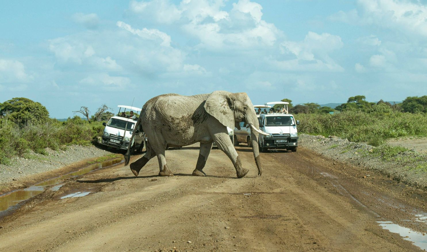 Amboseli National Park Attracts More Than 200,000 Visitors Each Year (2)