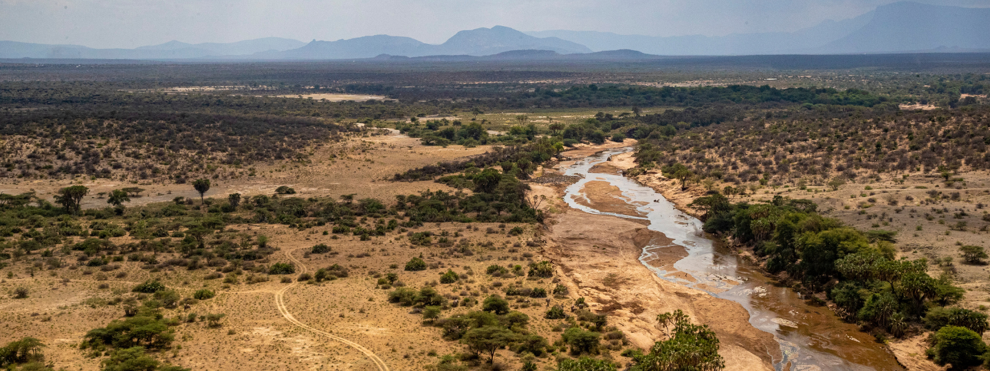 Iot Network Banner (2)