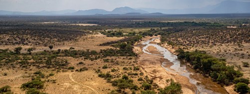 Iot Network Banner (2)