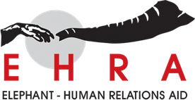 EHRA+Logo Final (1)