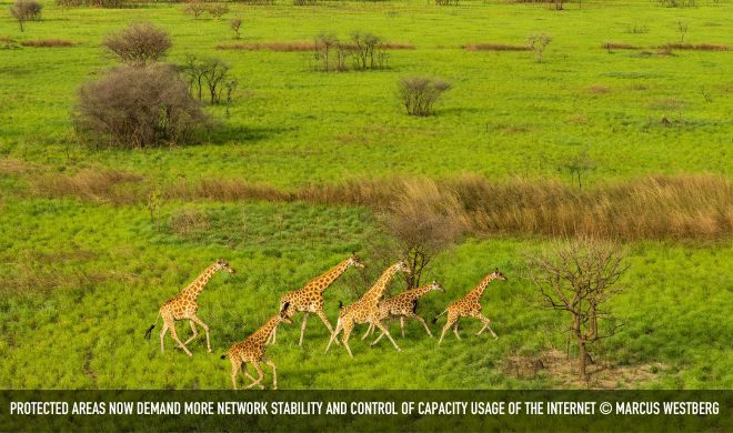 Protected Areas Now Demand More Network Stability, Visibility And Control Of Capacity Usage Of The Internet,