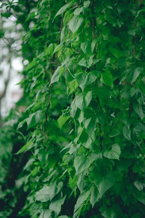 Sajidur Rahman T3trbxvach0 Unsplash