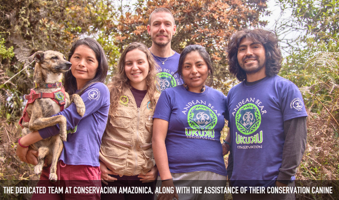 The Dedicated Team At Conservacion Amazonica, Along With The Assistance Of Their Conservation Canine