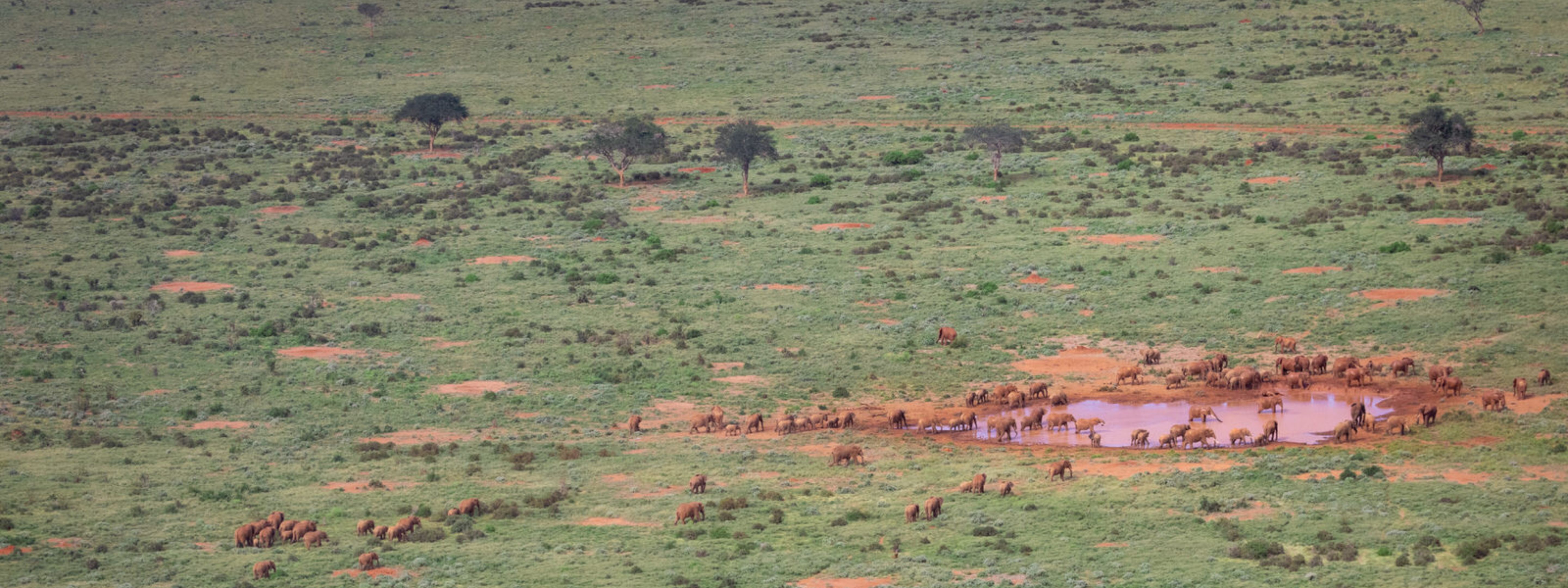 Tsavo Placeholder Image (3)