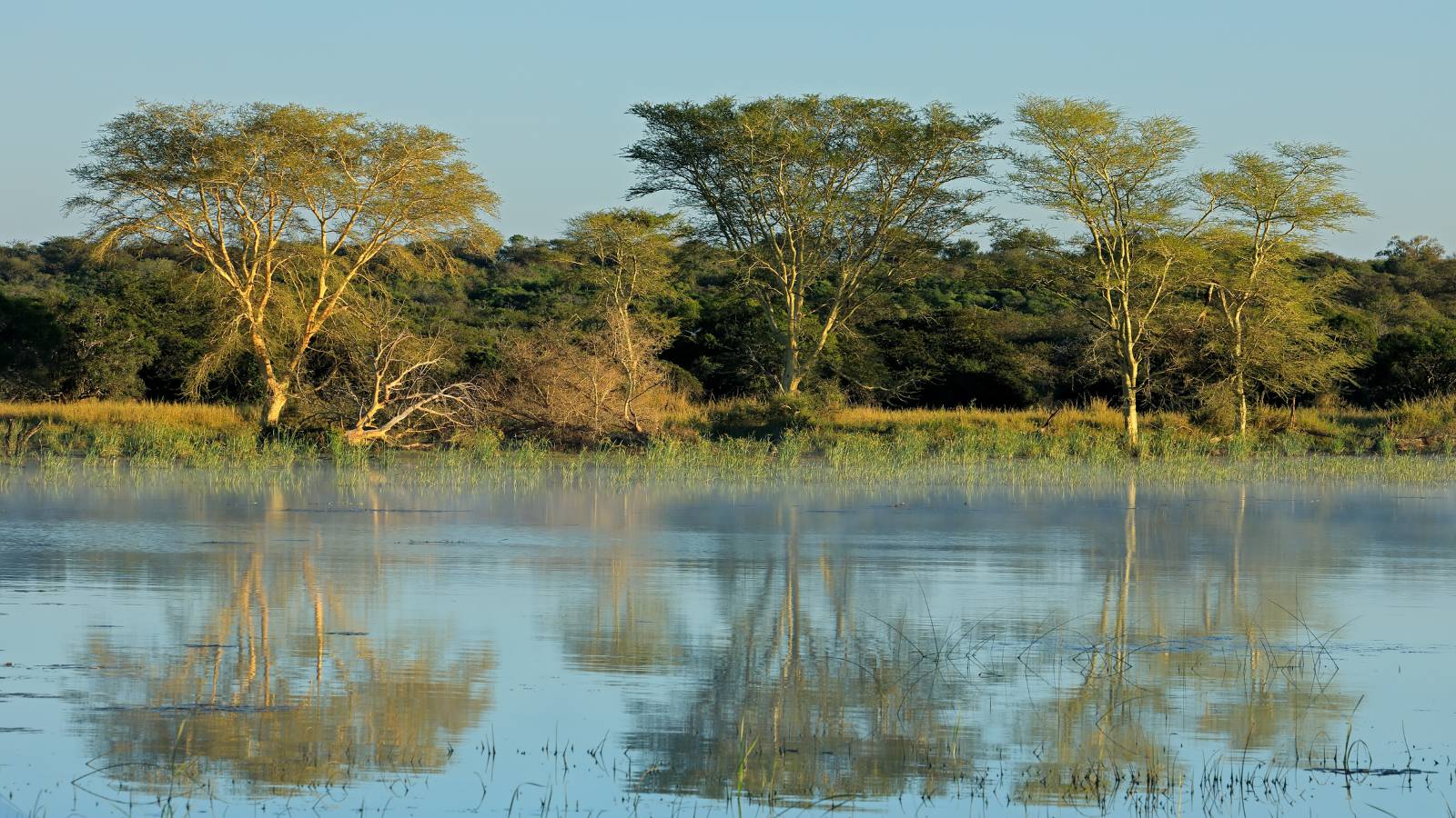 Mkuze Valley